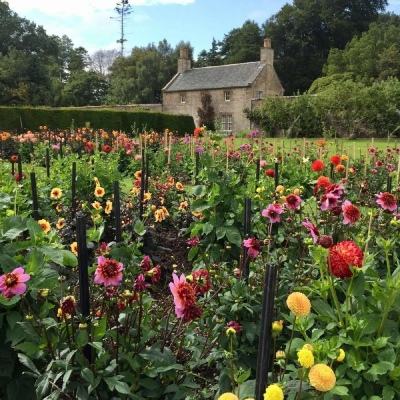 2023澳门资料大全正版手机app下载截图