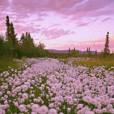 NG28下载地址官网