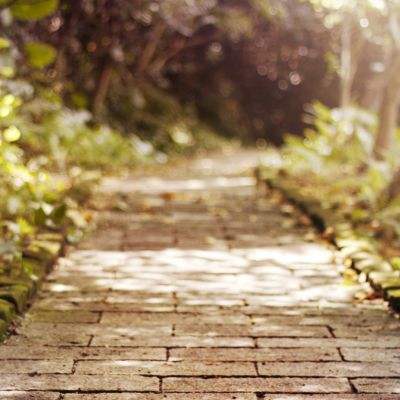 米乐app下载并安装