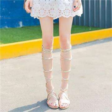 开云网kaiyunapp下载